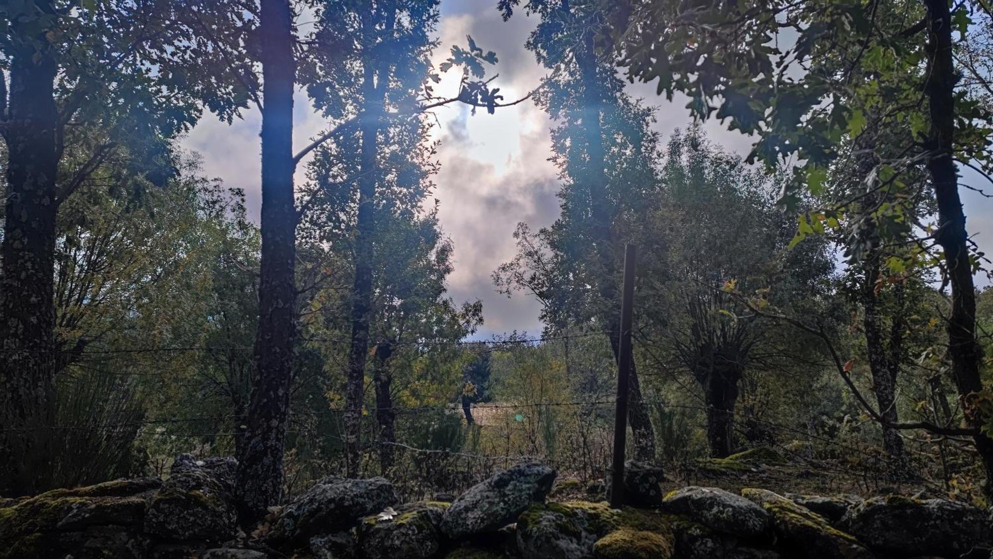 Penzion El Rincon De Gredos Navaluenga Exteriér fotografie